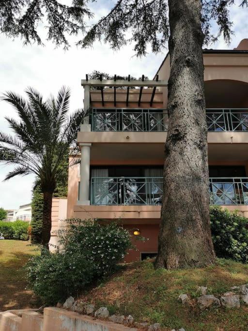 Appartement Renove, Piscine A Debordement, Vue Mer Cannes Exterior photo